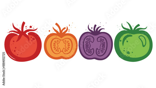 A colorful illustration of four tomatoes in different stages of ripeness