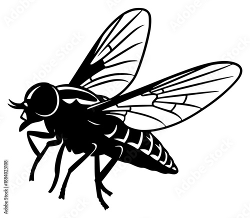 a black and white illustration of a fly, black, fly, illustration, silhouette, wing, against transparent background