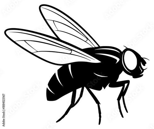 a black and white illustration of a fly, black, fly, illustration, silhouette, against transparent background