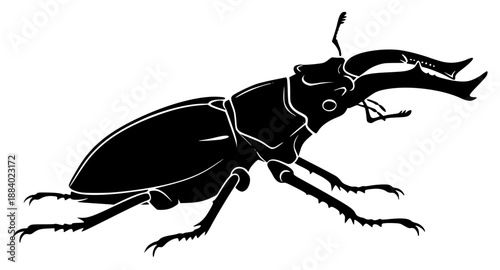 a black silhouette of a bug on a , an illustration of an insect, beetle, black, bug, drawing, illustration, image, insect, silhouette, against transparent background