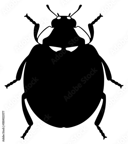 an illustration of a black beetle on a , beetle, black, bug, illustration, ladybug, against transparent background