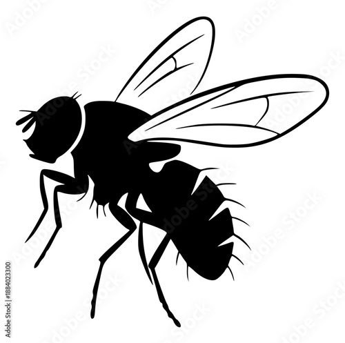a black silhouette of a fly on a illustration, black, fly, illustration, silhouette, against transparent background