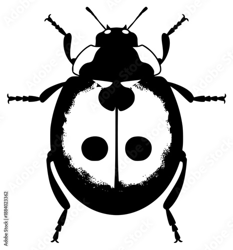 an illustration of a black beetle on a , beetle, black, bug, illustration, ladybug, against transparent background