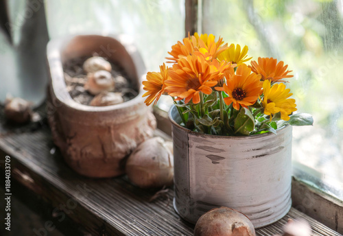 bouquet of orange flowers and bulbs placed  with garden trowel background on ...