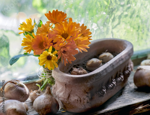bouquet of orange flowers and plant bulbs with decorative flowerpot placed  o...