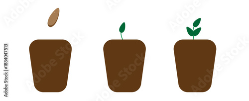 
planting process, young plant, icon, isolate,