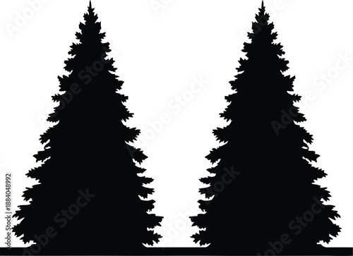 Two pine trees silhouette Vector