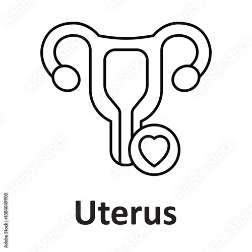 Uterus Vector Icon which can easily modify or edit