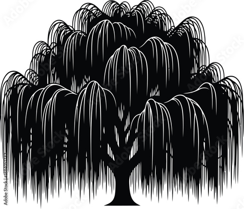 Weeping willow tree silhouette Vector