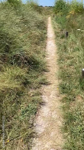 Chemin de randonnée.