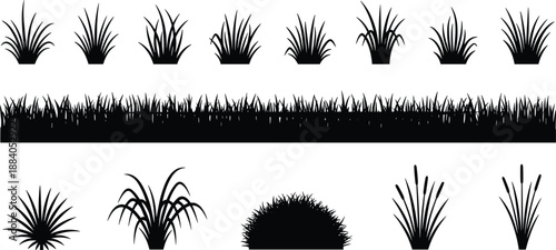 Grass and plant silhouette collection featuring bushes reeds lawn borders natural vegetation elements isolated on white background vector illustration
