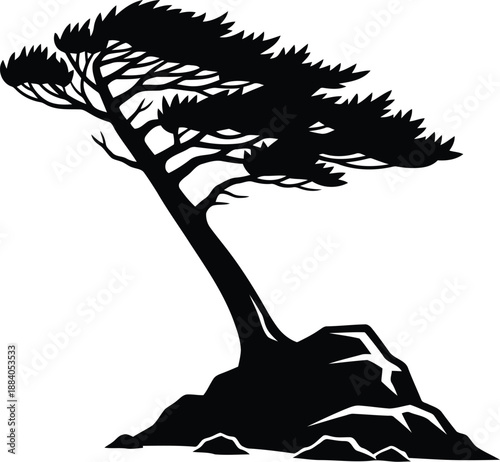 Canvas-taulu Windblown tree silhouette Vector
