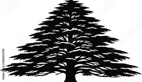 Cedar tree silhouette Vector
