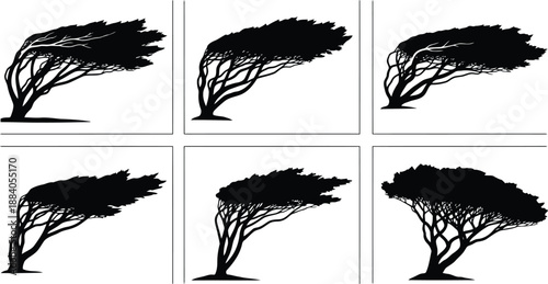 Photos Set of six unique windblown tree silhouettes Vector