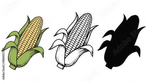 An illustration of three corn icons in different styles and colors
