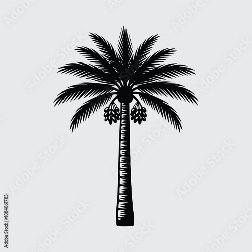 palm tree silhouette