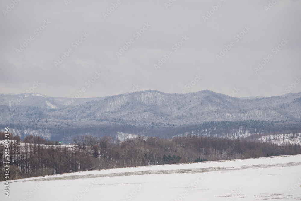 Fototapeta premium SNOW COVERED LANDSCAPE IN WINTER