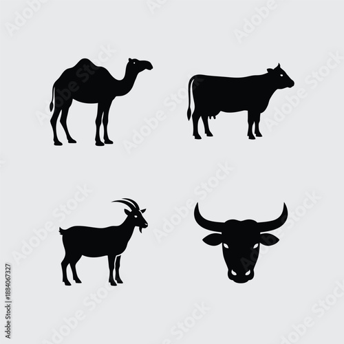 cow and calf
