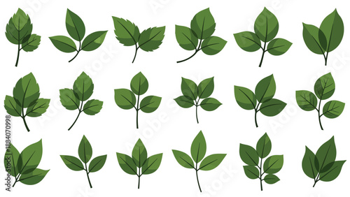 Collection of various stylized green plant leaves showcasing different shapes and arrangements perfect for nature illustrations and organic design projects