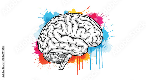 Creative illustration of a human brain drawn in black ink style set against vibrant and colorful paint splashes on a white surface.