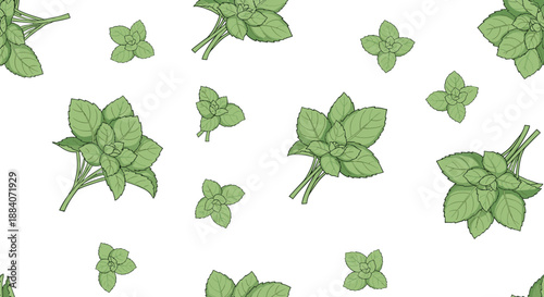 Seamless pattern featuring hand drawn green mint sprigs and leaves scattered across a clean white background for botanical themes.