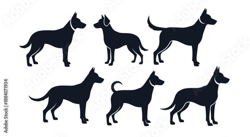 Set of black silhouettes showing various dog breeds in standing profiles arranged in two rows on a plain white background for design.
