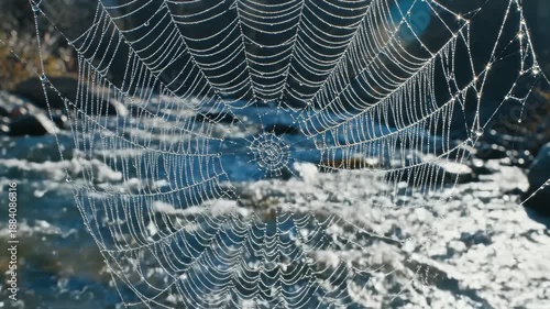 Spider Web Covered in Dew Hanging Near Flowing River