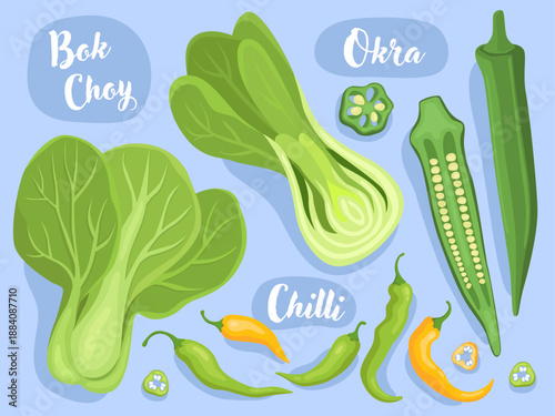 Cute illustrations of fresh green vegetables. Chinese cabbage bok choy, okra, chilli peppers. Illustration for packaging, menu, natural food store.