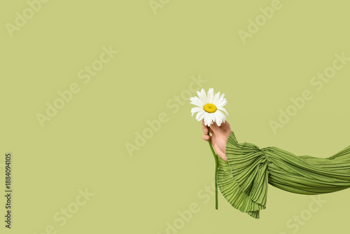 Female hand with chamomile ...