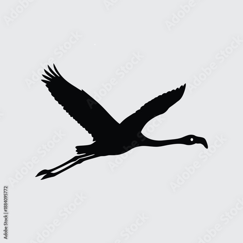 silhouette of a flying bird