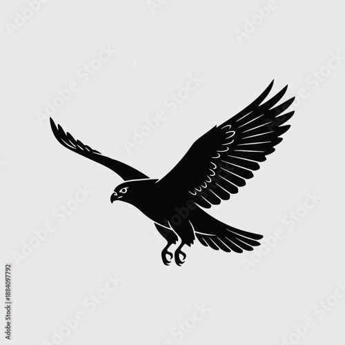 eagle in flight