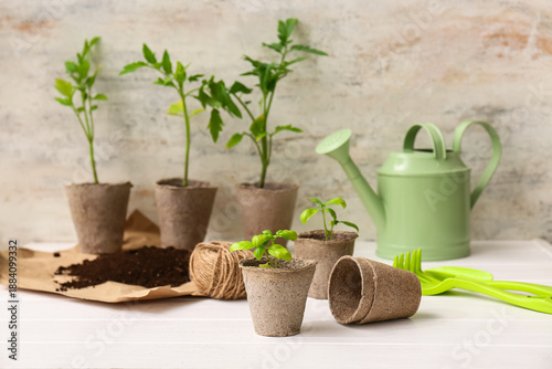 Pots with seedlings and gar...