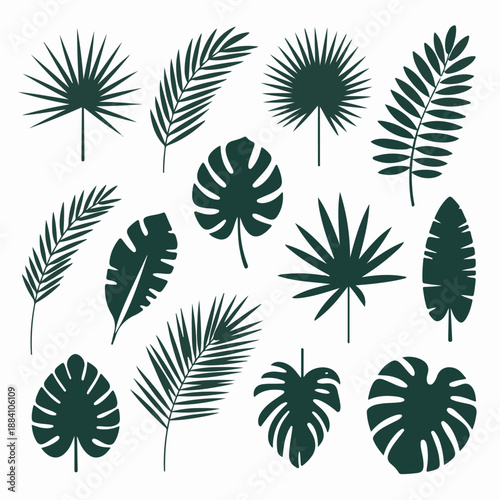 Minimalist Dark Green Jungle Foliage Illustrations on White Background