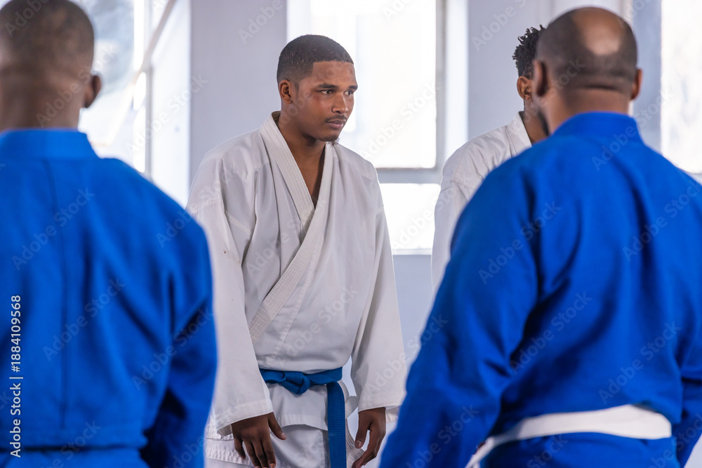 Fototapeta premium Diverse male training partners practicing martial arts moves in dojo on cushioned mats