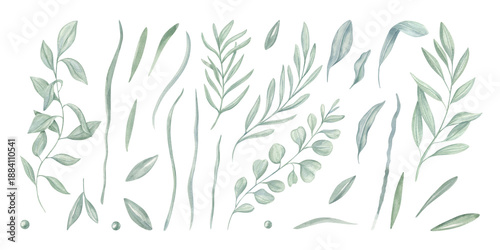 Watercolor herbs, branches, leaves in pastel mint green colors clipart illustration isolated on white background. Spring abstract plant set. Floral elements for bouquet design, botanical book.