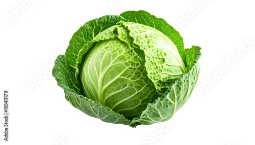 A close-up of a fresh, green cabbage head isolated against a stark black backdrop