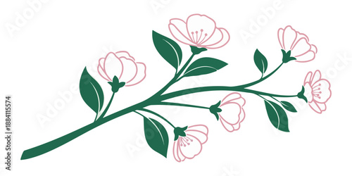 a delicate floral arrangement featuring several pink and white blossoms with lush green stems and leaves displayed against a clean white background