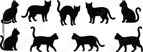 Silhouettes of domestic cats in various poses and postures, isolated black feline shapes for pet designs, decals, stickers, decoration, and creative graphic projects