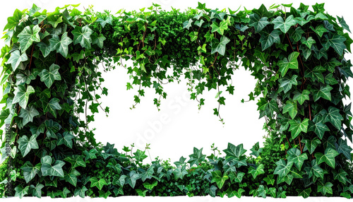 Lush green ivy frames a dark rectangle, creating a natural portal look