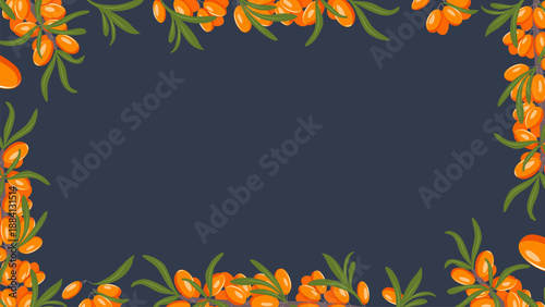 Summer vector background with sea buckthorn branches, orange berries and green leaves. Botanical frame on dark blue  for web banners, food branding and natural product design.