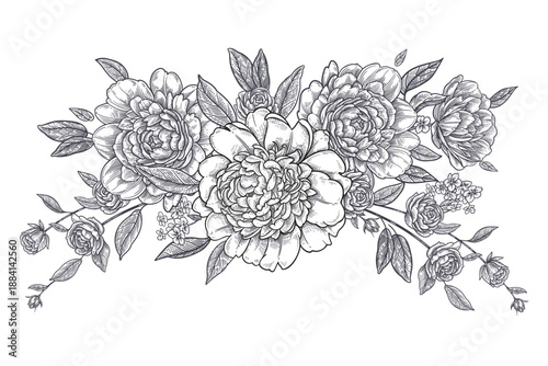 Peonies and leaves. Floral garland. Vintage graphic card. Vector.