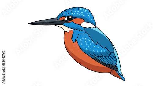 Colorful Kingfisher Bird Illustration on White Background