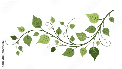 Wallpaper Mural Elegant green leafy vine illustration on white background Torontodigital.ca
