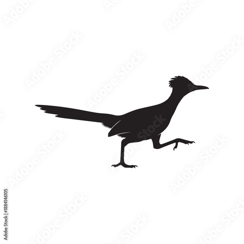 Bird of roadrunner silhouette vector flat illustration design.
