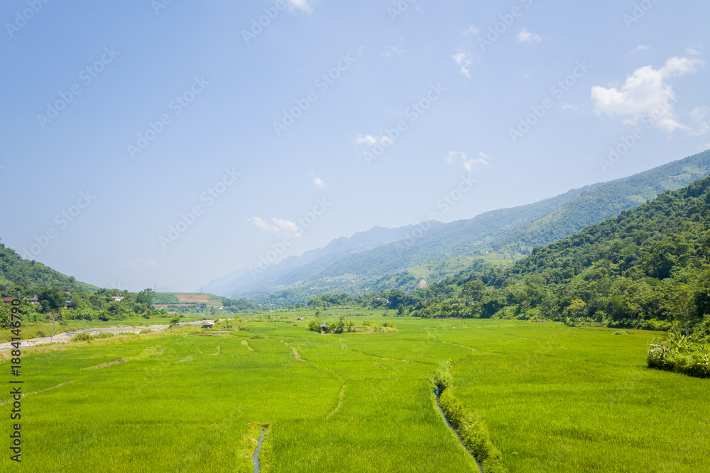Obraz premium Expansive rice paddies stretch across a wide valley bordered by lush forested hills and distant blue mountains under a clear sky in northern Vietnam. Bright sunlight enhances the vivid green tones and