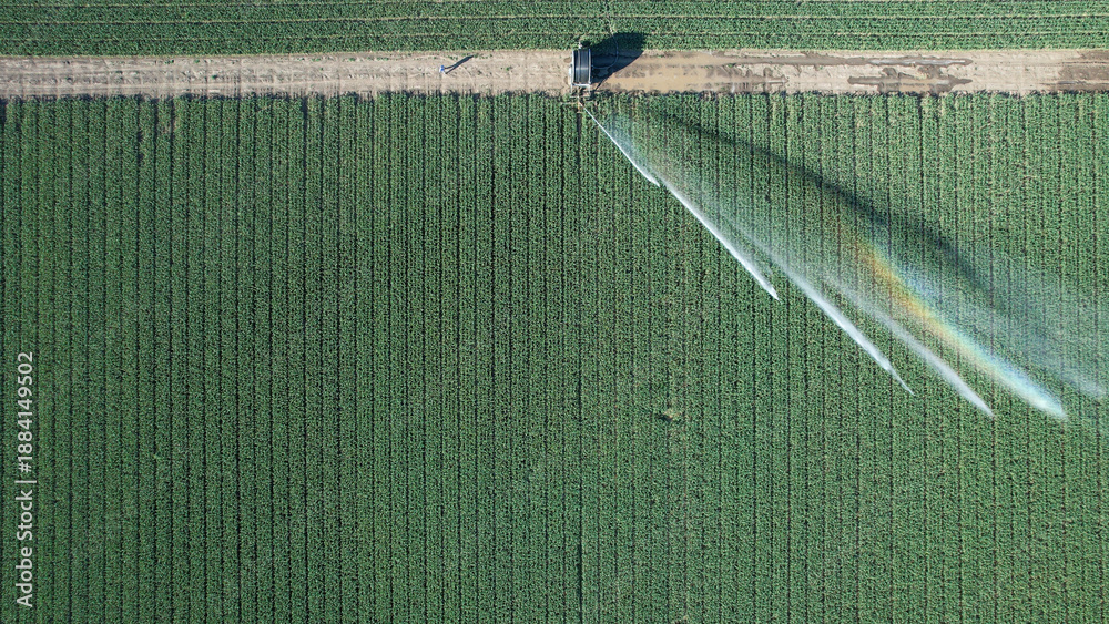 Fototapeta premium Rotary sprinkler irrigating a lush green agricultural field, highlighting crucial water management practices for sustainable farming and climate change adaptation