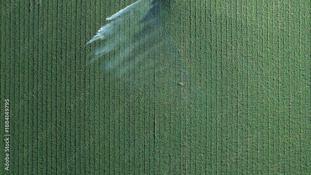 Obraz premium Rotary sprinkler system efficiently irrigating a lush green crop field from an aerial perspective, demonstrating modern agricultural practices and water conservation for food security