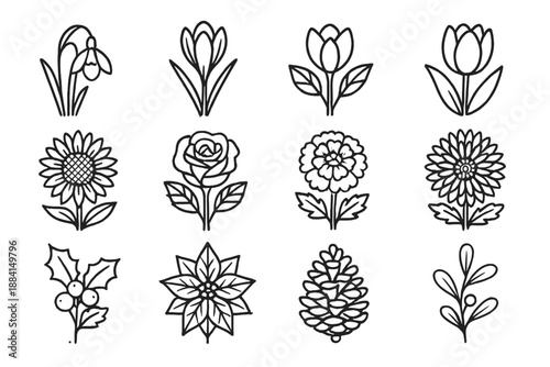 Seasonal Flower Icons. Seasonal Bloomsset in outline vector style snowdrop, crocus, cherry blossom, tulip, sunflower, rose, marigold, chrysanthemum, holly, poinsettia, pinecone, mistletoe