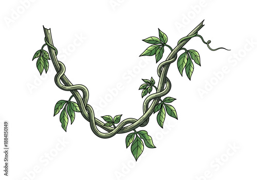 Intricately illustrated vine with twisting stems and lush green leaves forming a delicate, curved frame against a clean background