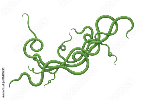 Tangled green vines illustration on a white background from a close-up viewpoint